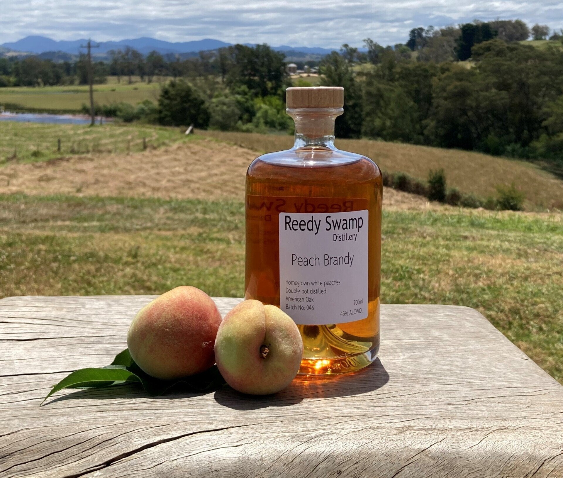 Bottle of Reedy Swamp Peach Brandy with two peaches on a wooden surface outdoors.
